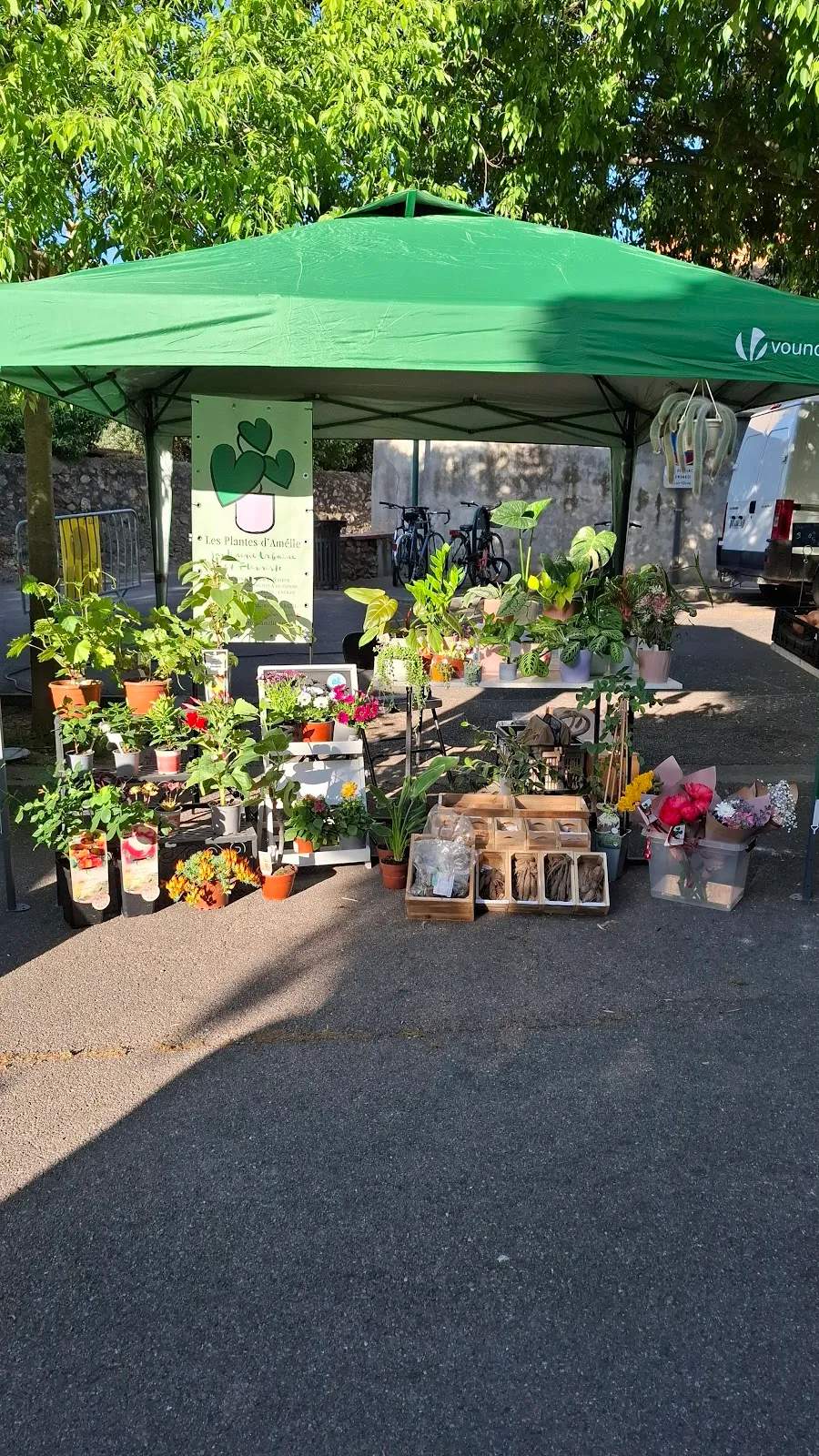 Les Plantes d'Amélie — photo 2