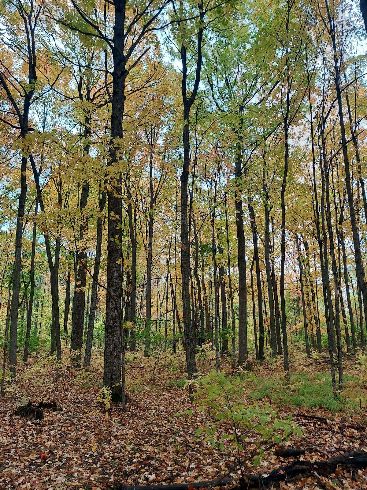 Gregg Preserve — photo 1
