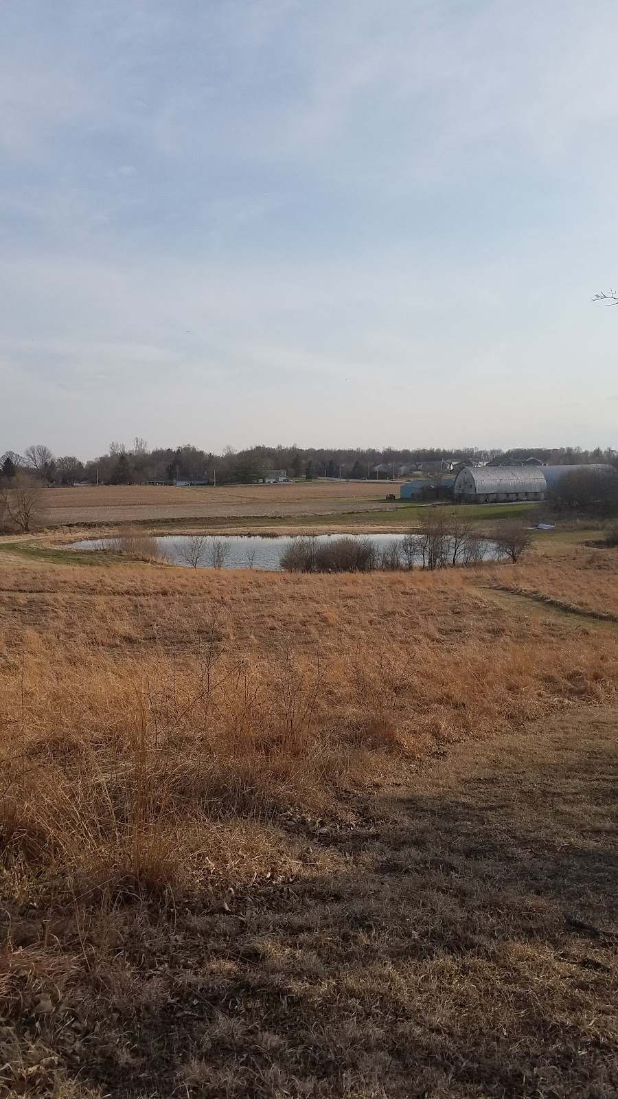 Gregg Preserve — photo 5