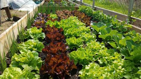 Winterspring Farm — photo 2