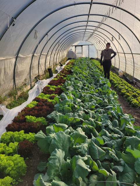 Winterspring Farm — photo 3
