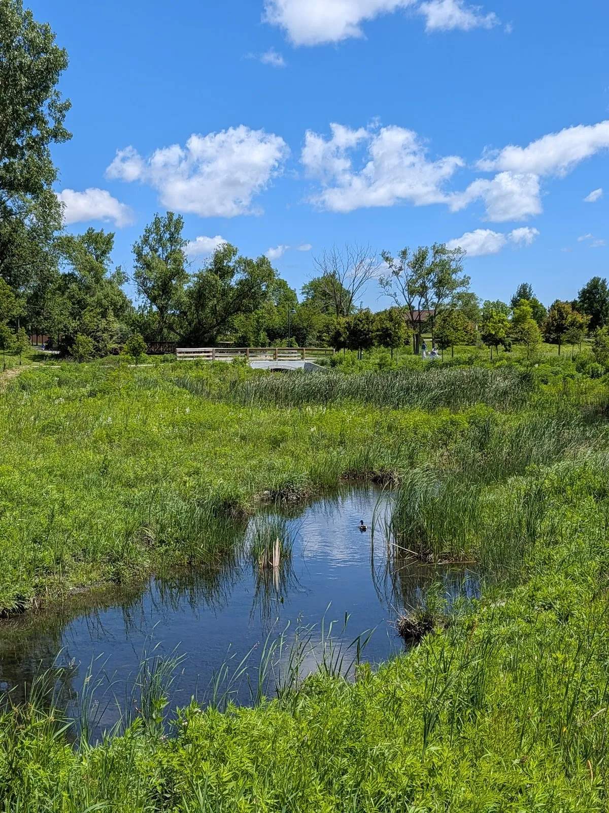 Konkel Park — photo 3