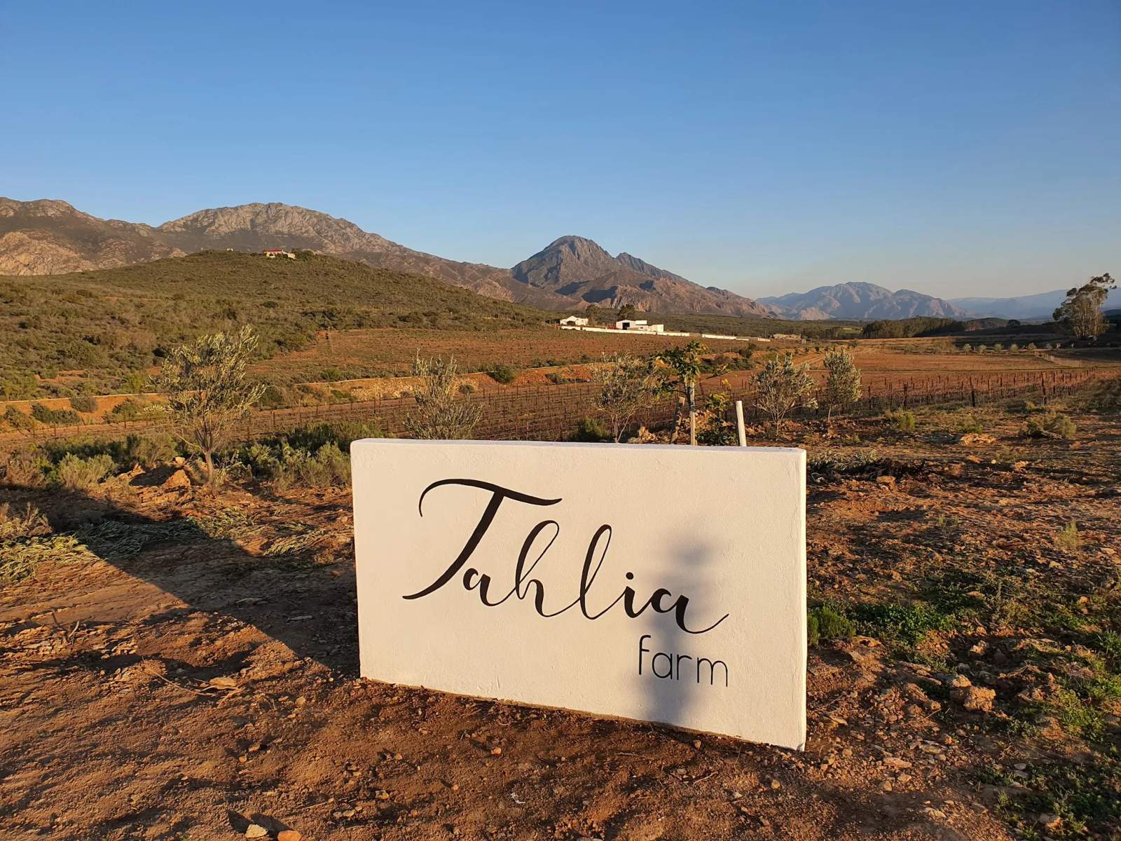 Tahlia Farm Tasting and Distillery — photo 5