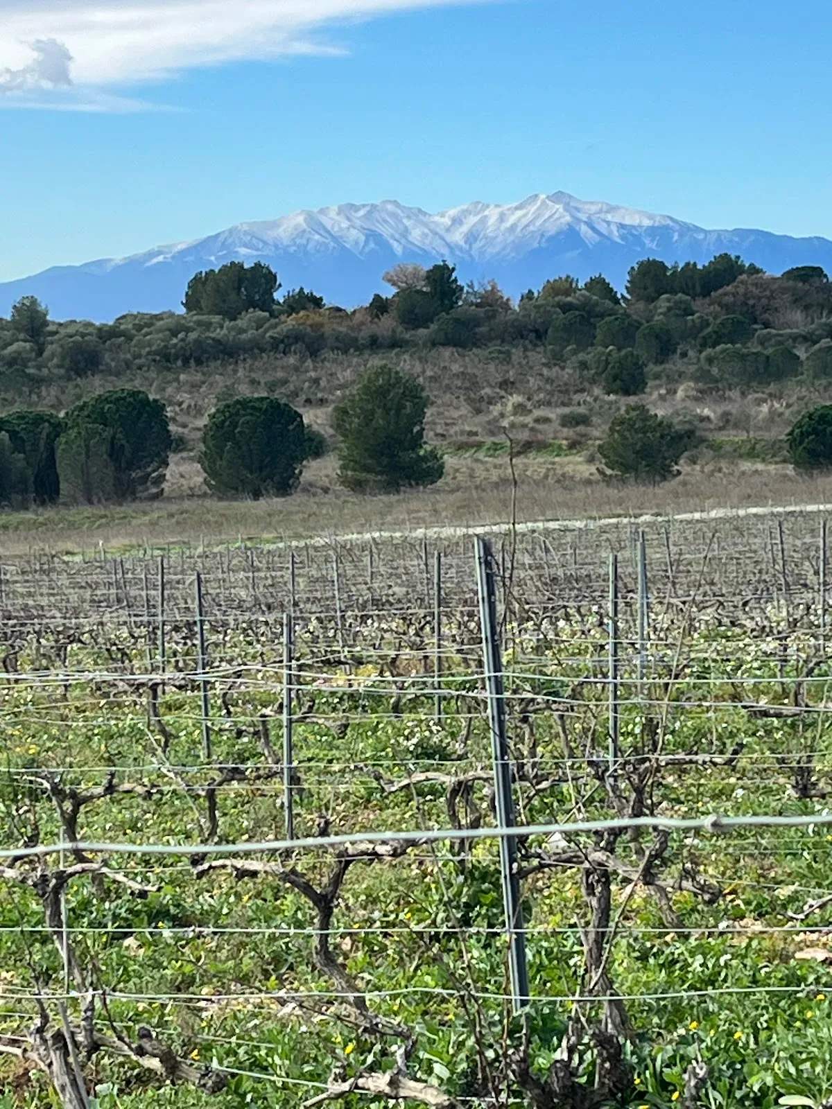 Domaine RousdeLlaro — photo 1