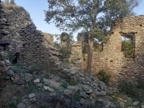Chapelle de la Pave — photo 3