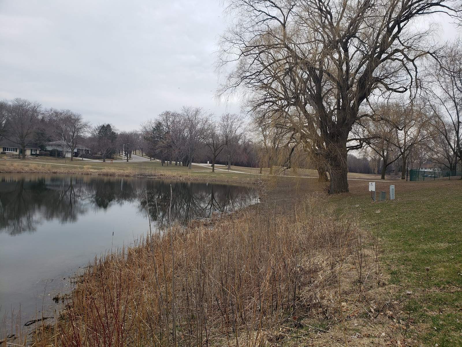 Centennial Park — photo 9