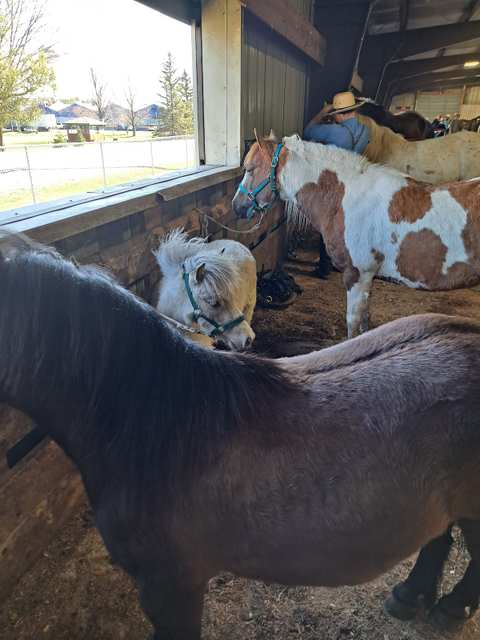 Clark County Fairgrounds — photo 2