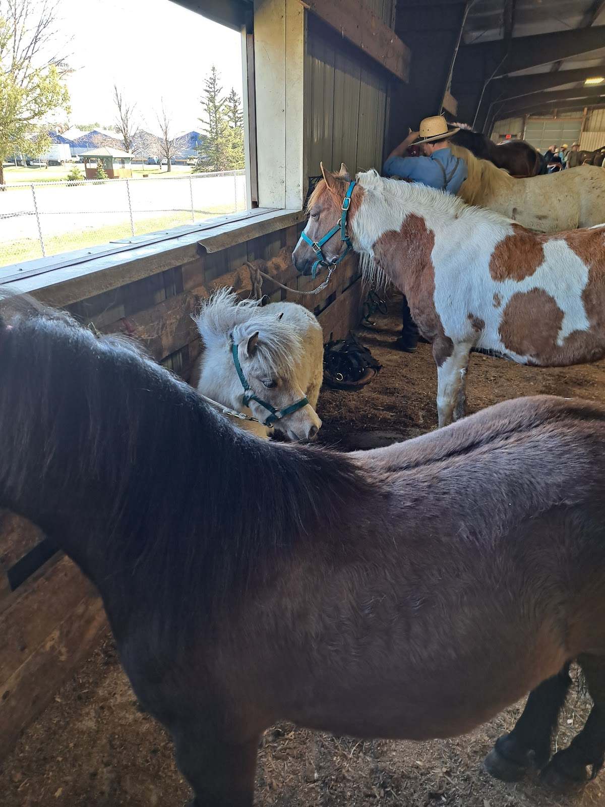 Clark County Fairgrounds — photo 2