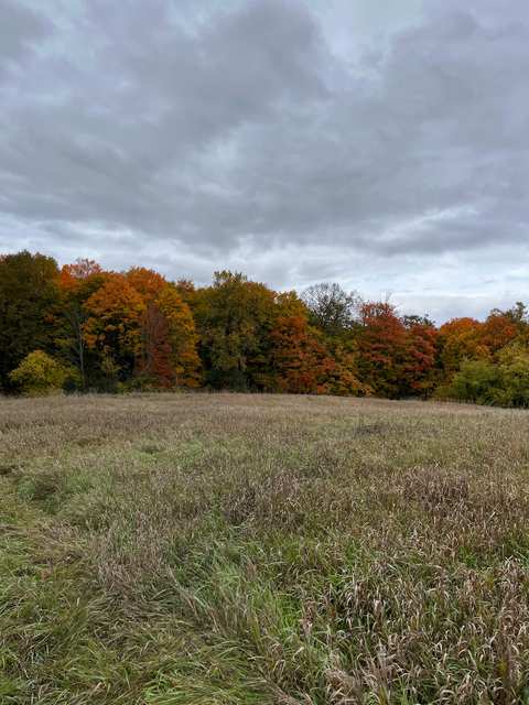Pleasant Valley Nature Park — photo 3