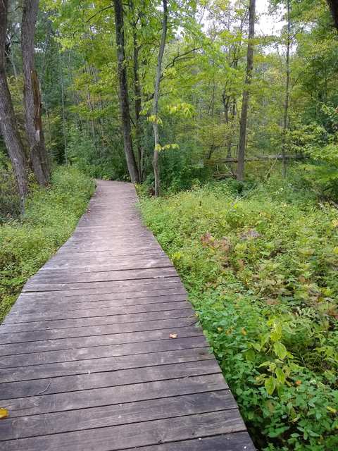Pleasant Valley Nature Park — photo 4