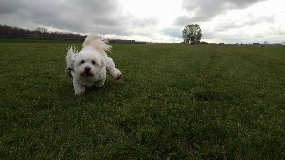 Pepi's Playground — photo 1
