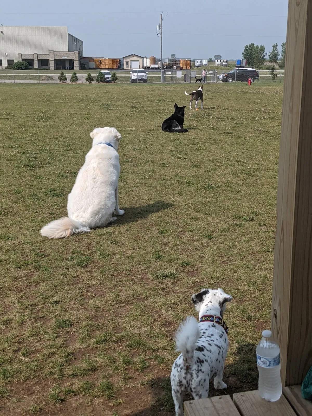 Pepi's Playground — photo 3