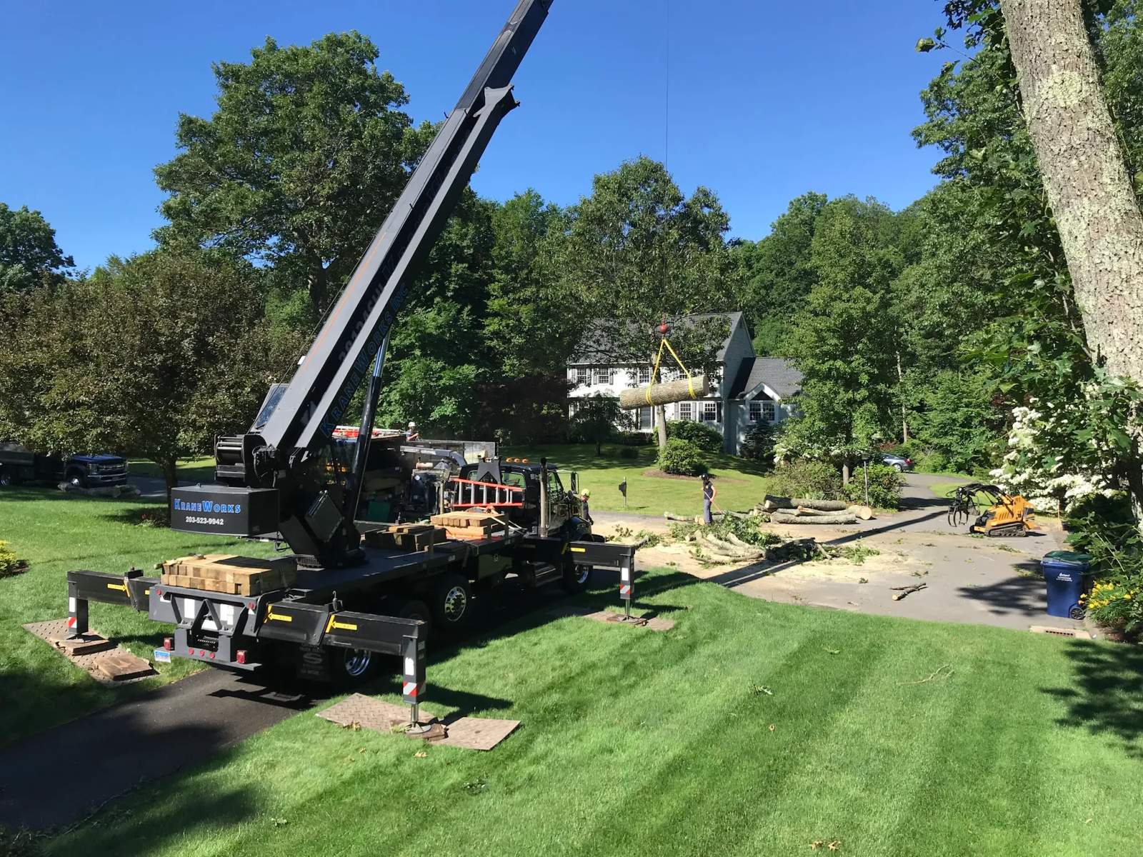 E.L.M. Tree Service Inc. — photo 1