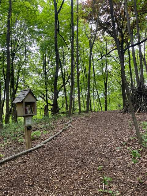 Conservancy for Healing and Heritage — photo 3