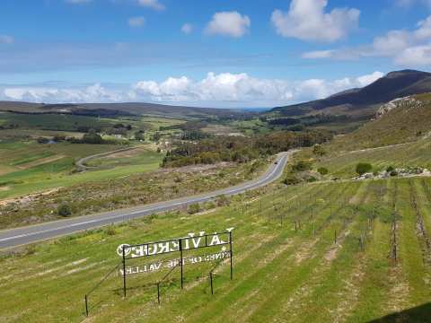 La Vierge Wines — photo 3