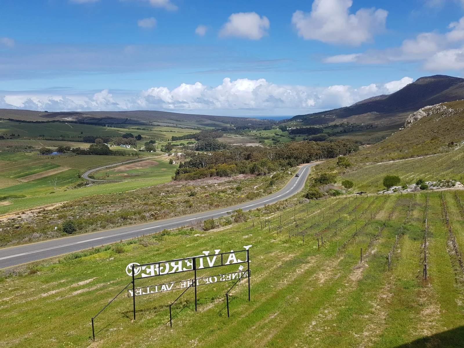 La Vierge Wines — photo 3