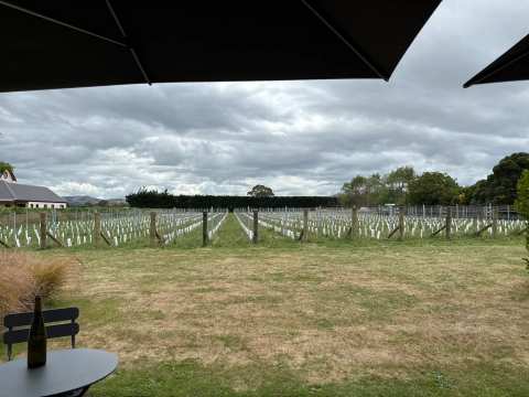 Grava Wines — photo 3