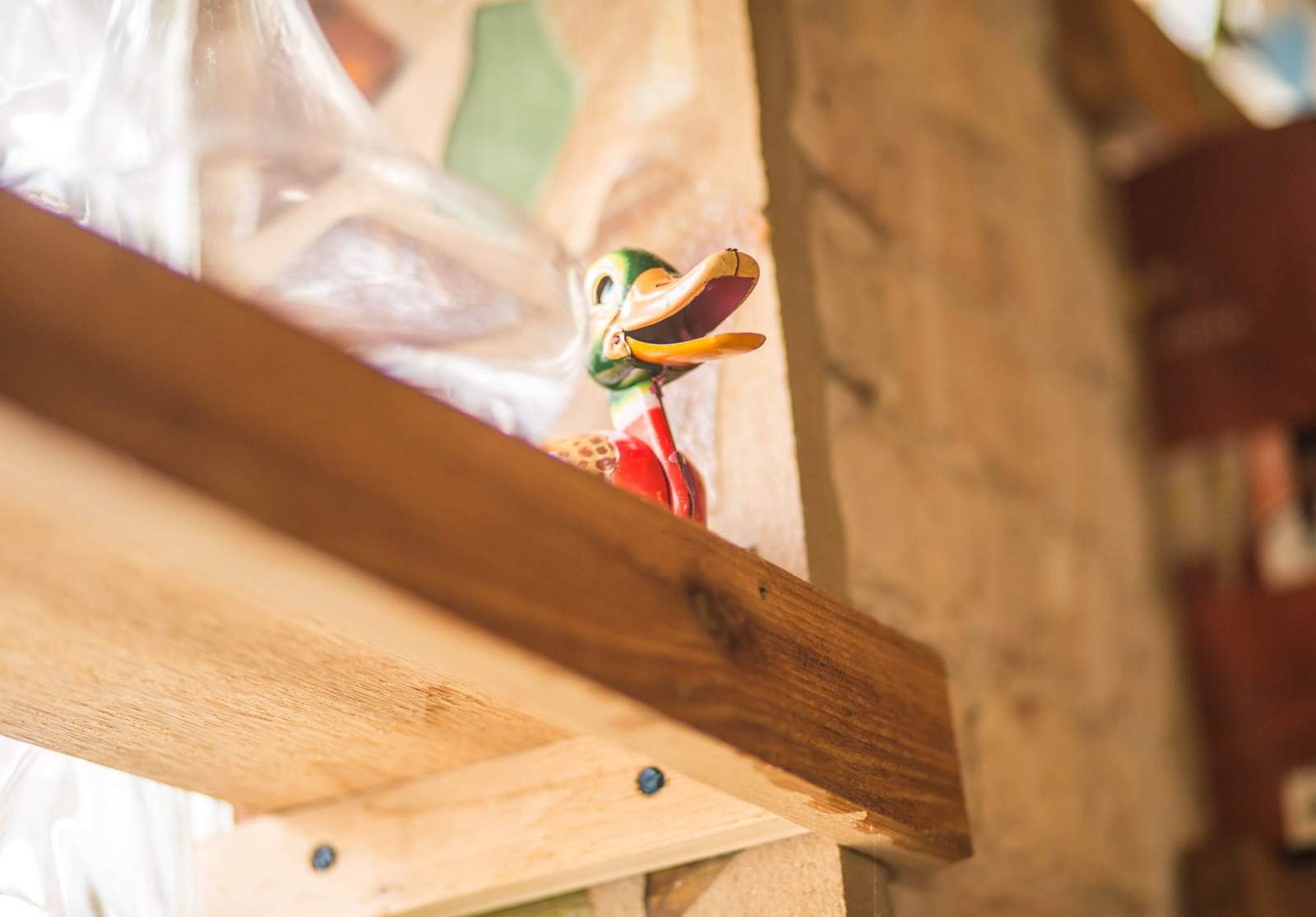 Odd Duck — photo 3