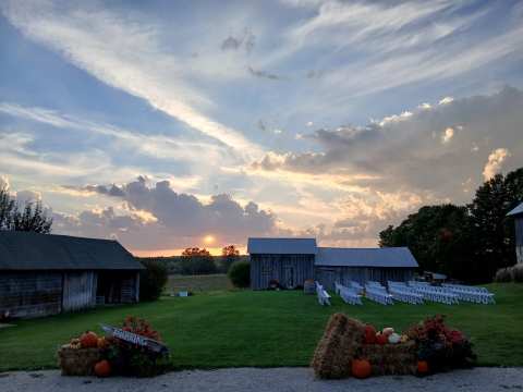 About Thyme Farm — photo 2