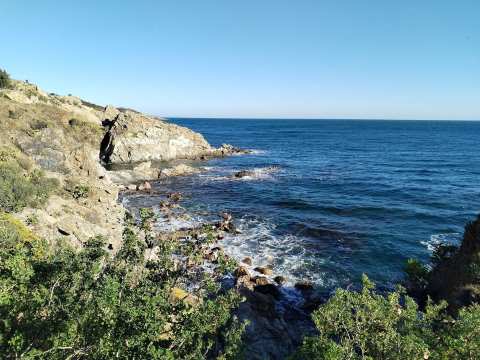 Banyuls-sur-Mer — photo 3