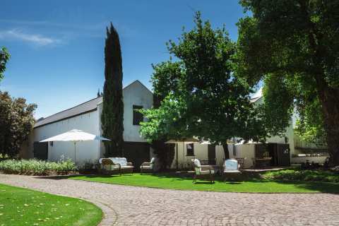Bosman Family Vineyards — photo 2