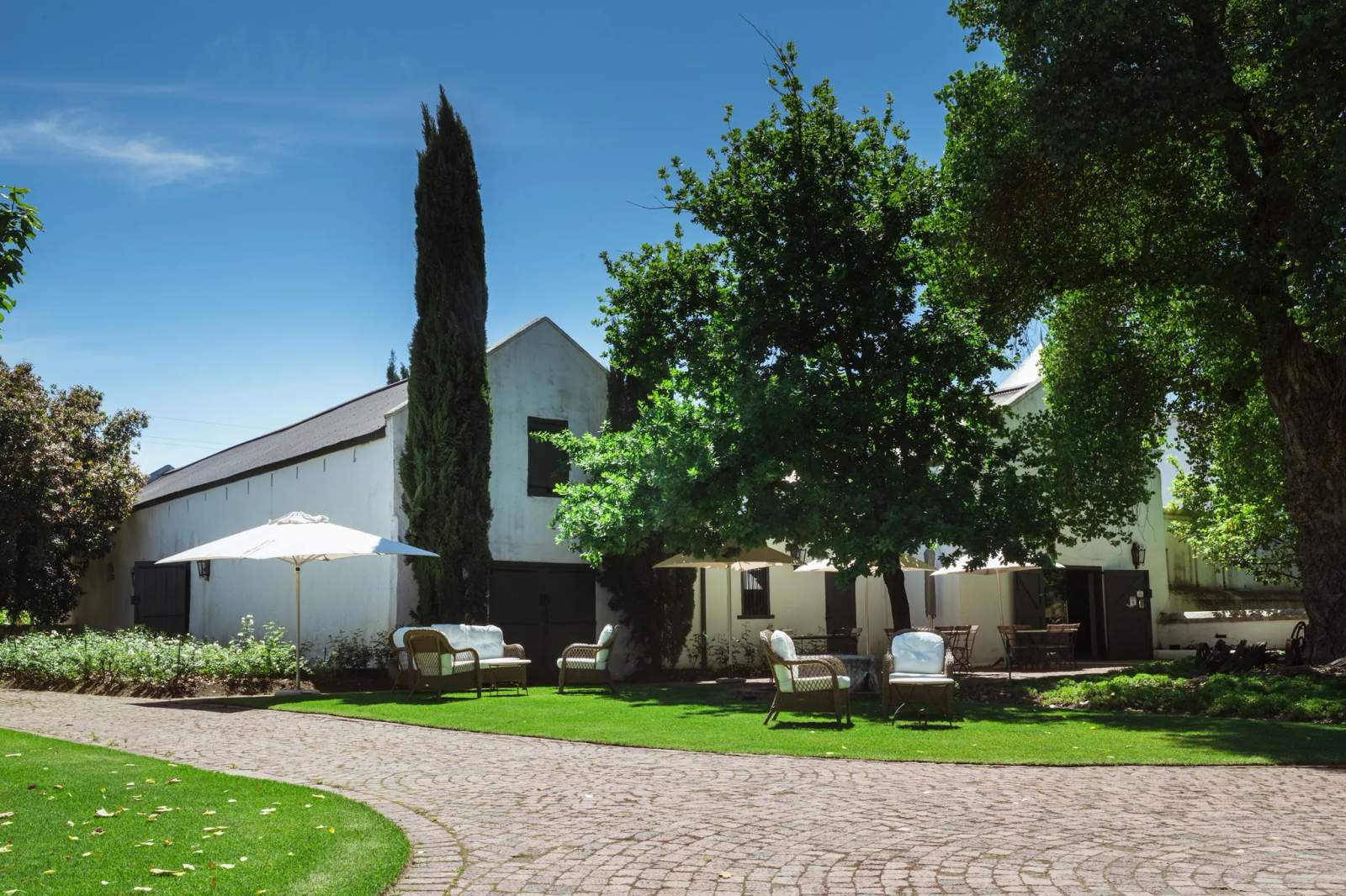 Bosman Family Vineyards — photo 2
