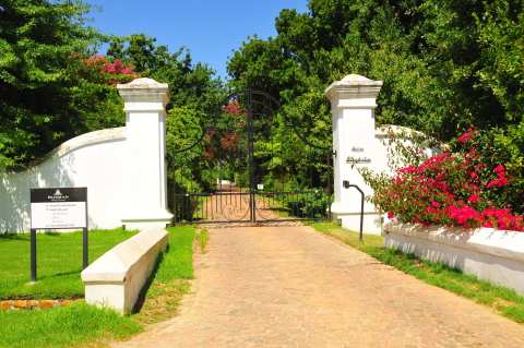 Bosman Family Vineyards — photo 3