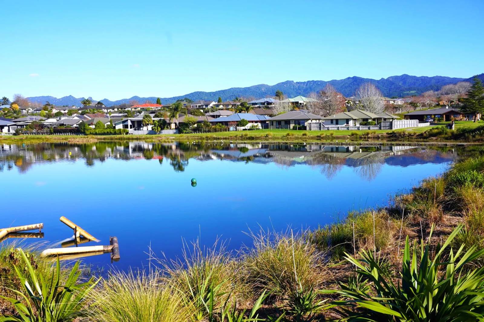 Uretara Stream Esplanade Reserve — photo 1