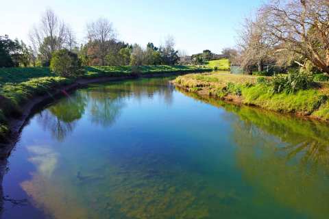 Uretara Stream Esplanade Reserve — photo 3