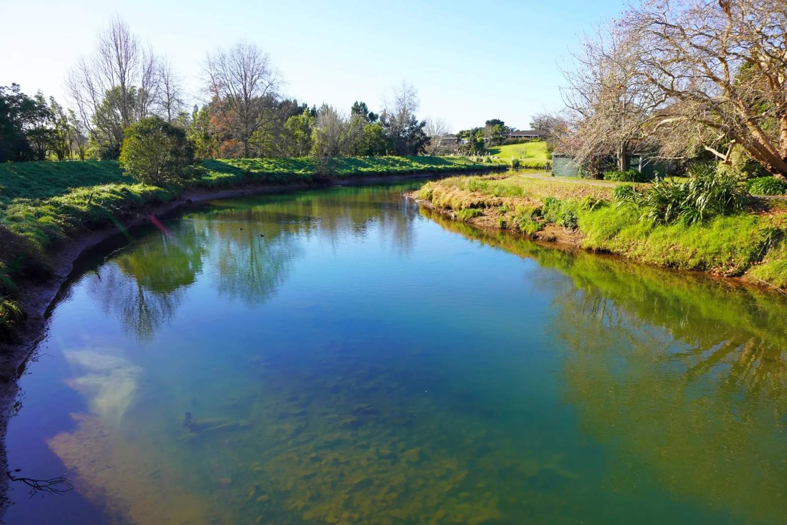 Uretara Stream Esplanade Reserve — photo 3
