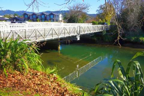 Uretara Stream Esplanade Reserve — photo 2