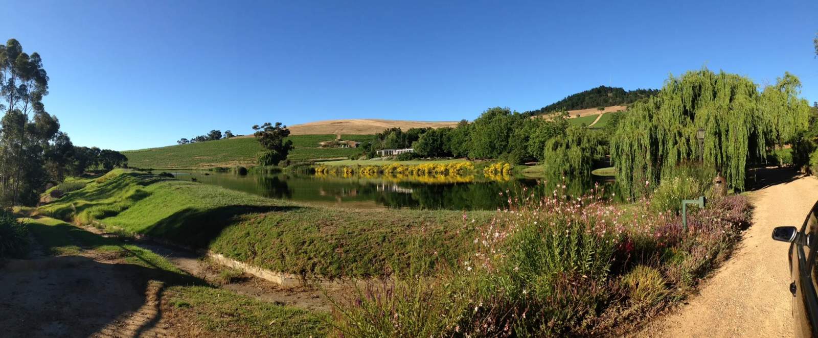Jordan Wine Estate — photo 1