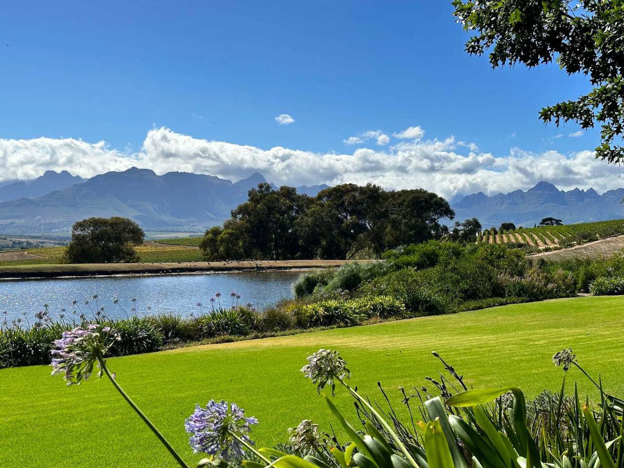 Jordan Wine Estate — photo 2
