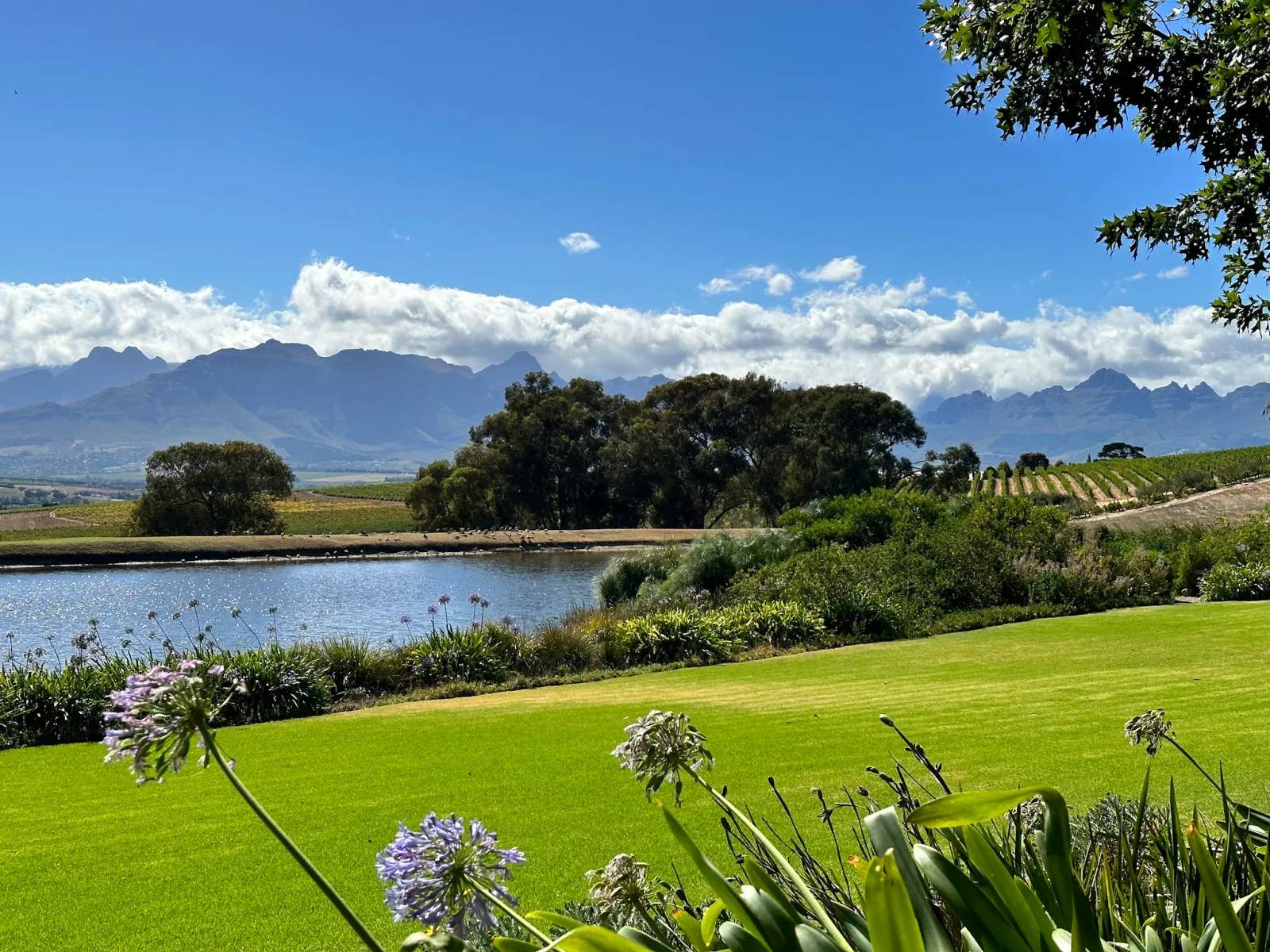 Jordan Wine Estate — photo 2