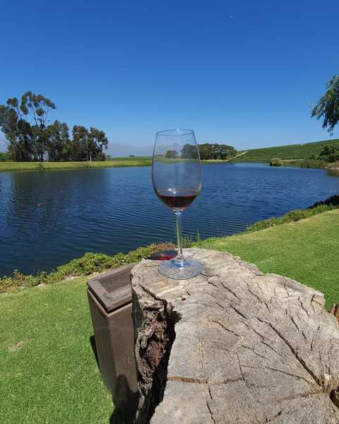 Jordan Wine Estate — photo 4