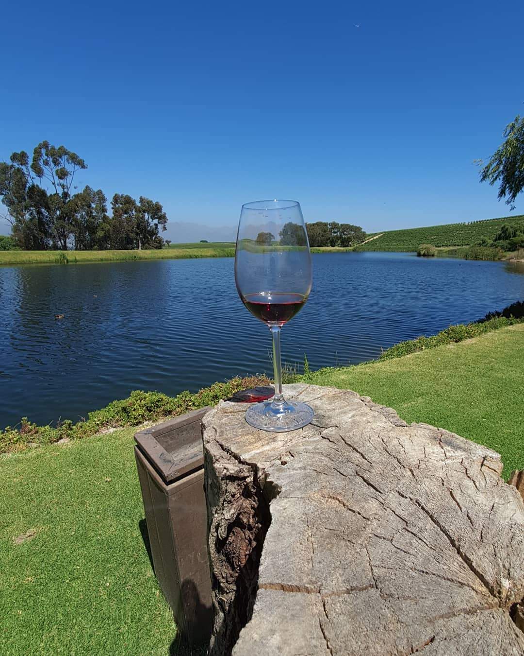 Jordan Wine Estate — photo 4