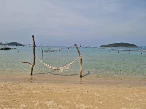 Thai Sabai — photo 3
