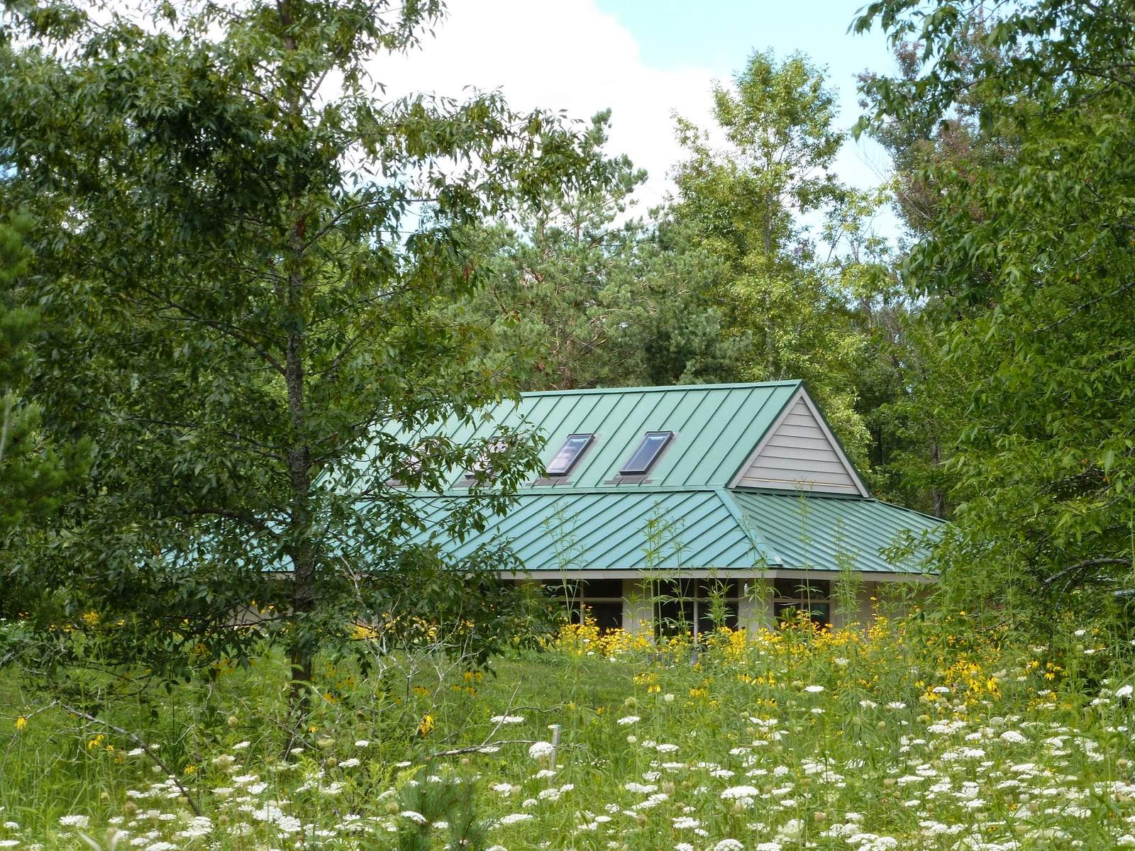 Blue Lotus Center — photo 3