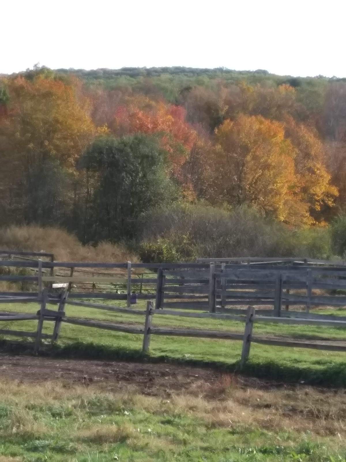 Frazier Farm Training Center — photo 3