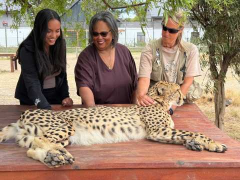 Wanderer Cape Town Tours & Travel - Private Cape Town Tours — photo 4