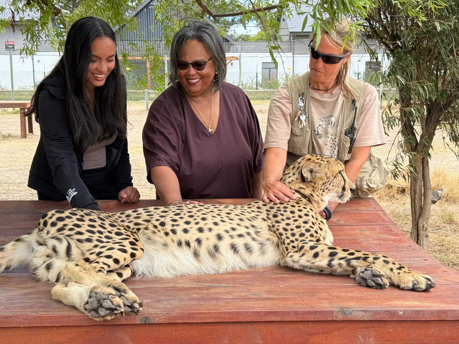 Wanderer Cape Town Tours & Travel - Private Cape Town Tours — photo 4