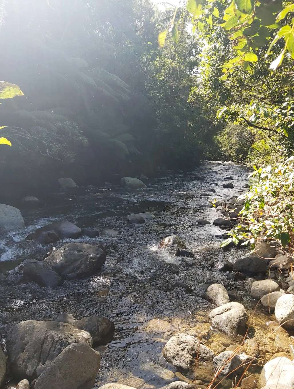 Waitekohe Recreational Park
