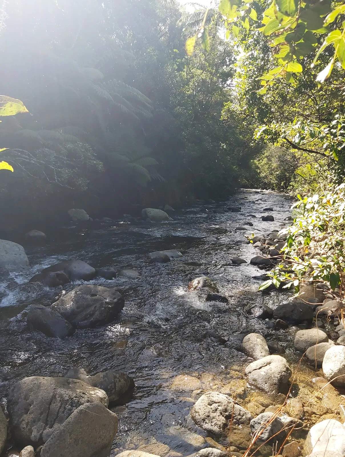 Waitekohe Recreational Park — photo 1