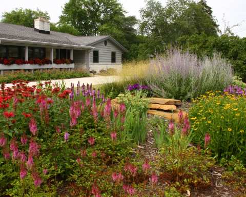 Kanavas Landscape Management — photo 2
