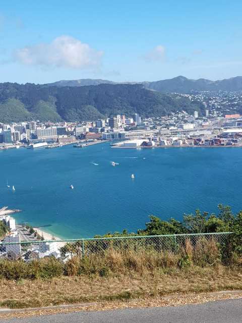 Wellington Panorama B&B — photo 2