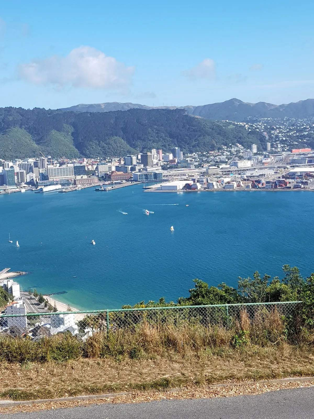 Wellington Panorama B&B — photo 2