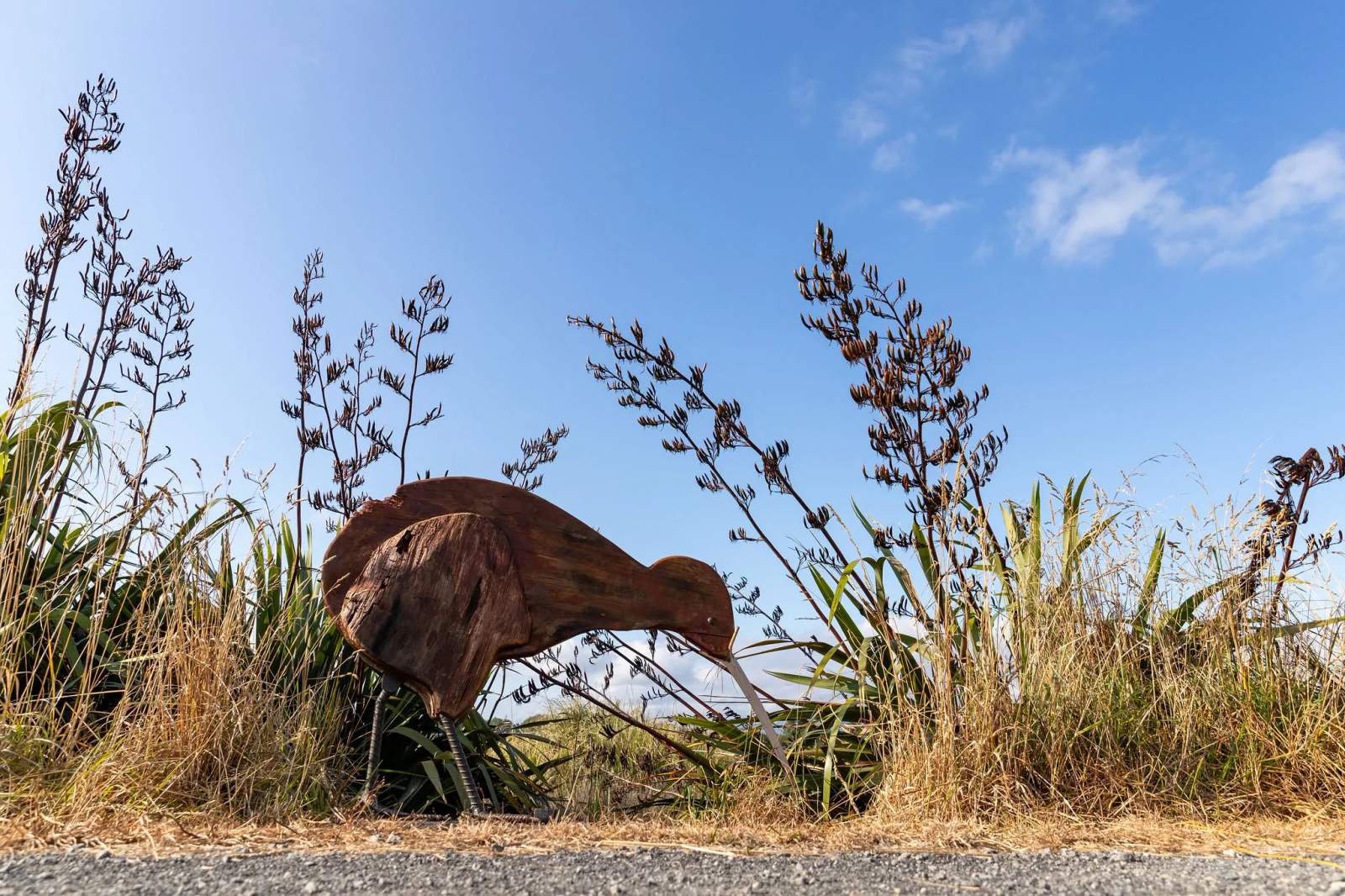 Bird Walk (Katikati Open Air Art) — photo 1