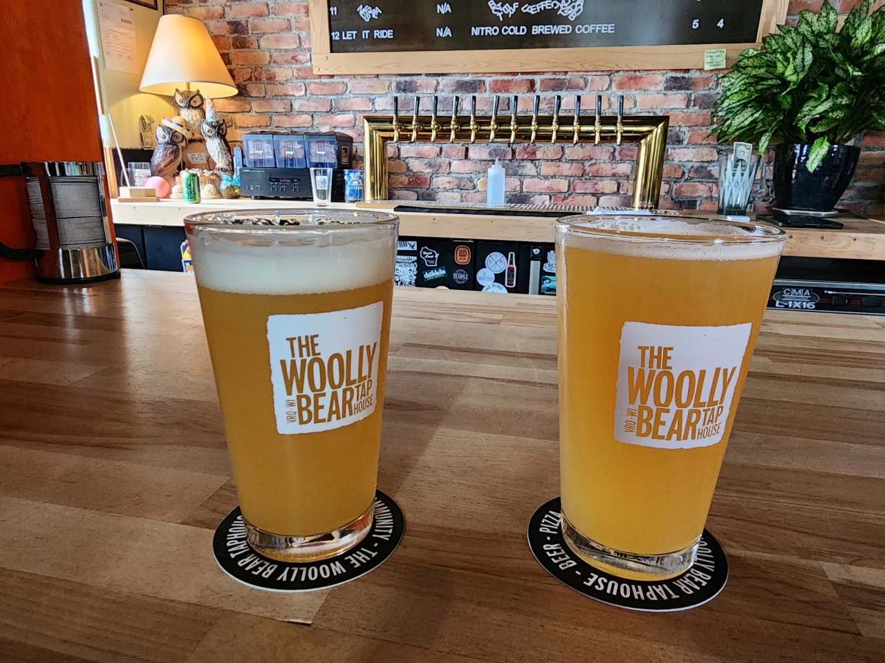 The Woolly Bear Taphouse — photo 2