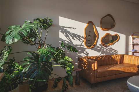 YogaOne Studio — photo 3