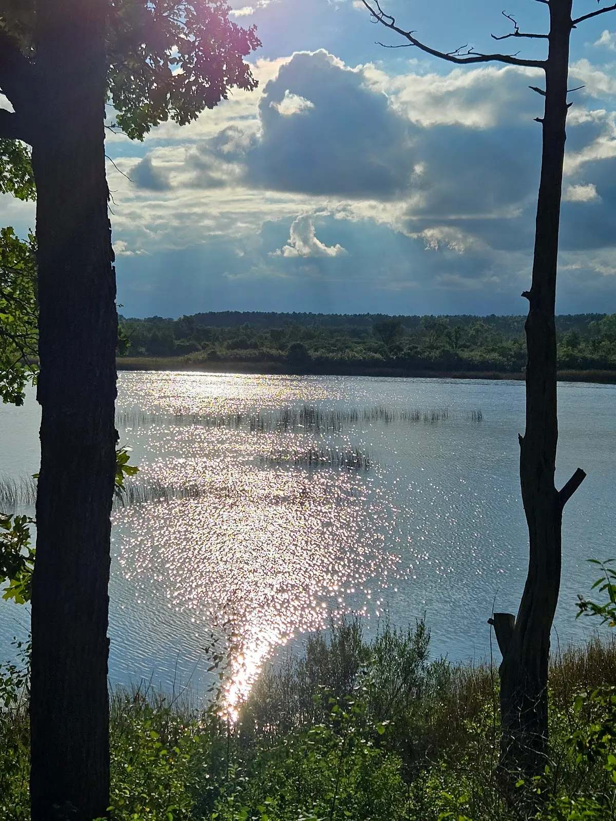 Ottawa Lake Campground — photo 8